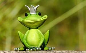 Screaming Frog