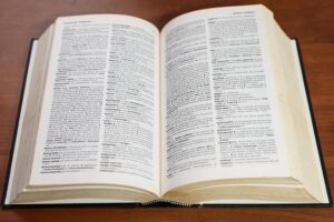 diccionario seo