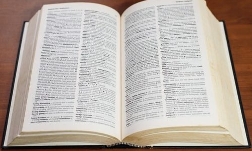 diccionario seo